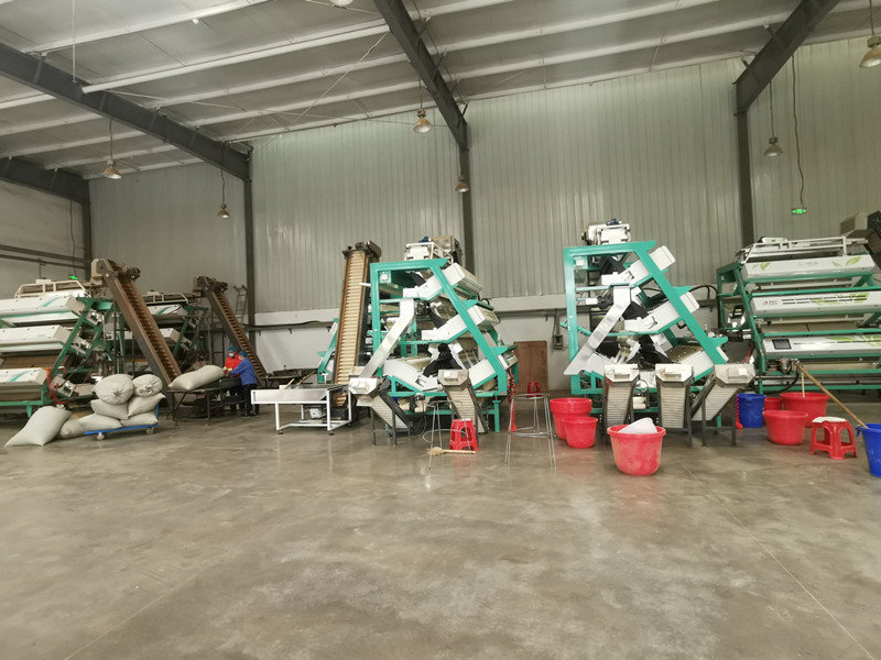 AMD tea sorting machine
