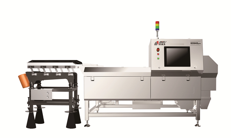 Color Sorting Machine