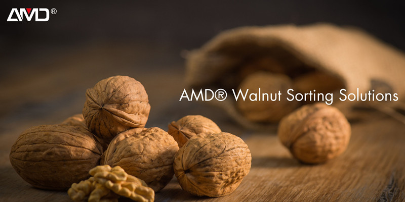 Walnut Sorting Machine Walnut Sorting Machine