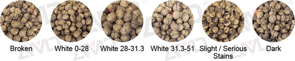 Inshell Walnut Grading Machine Inshell Walnut Grading Machine