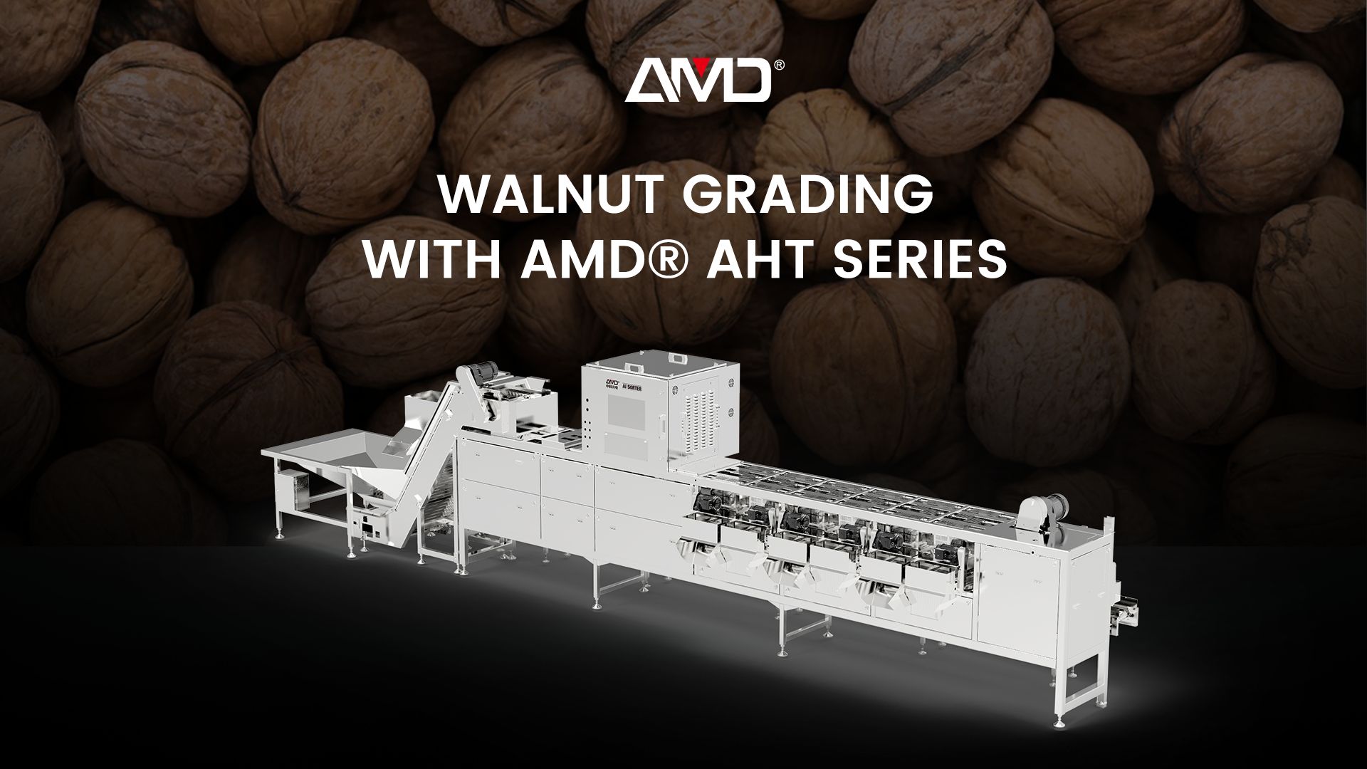 AMD® AHT Series | Inshell Walnut Grading Machine