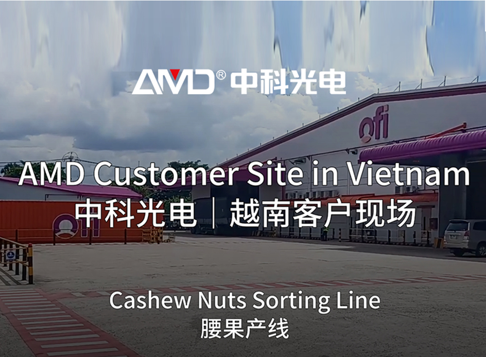 Vietnam Cashew Processor Improves Production with AMD® Sorting Technology