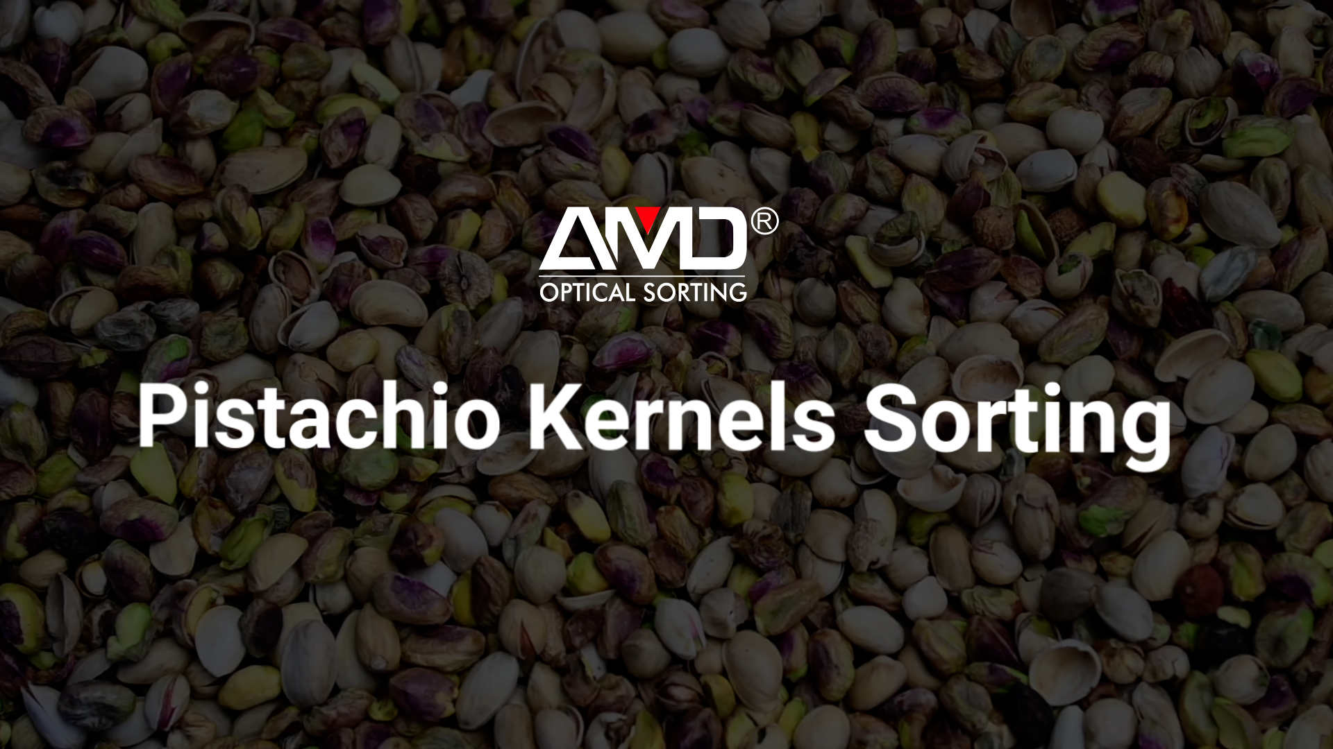 AMD® LG (KP+HD) AI Pistachio Sorting Machine