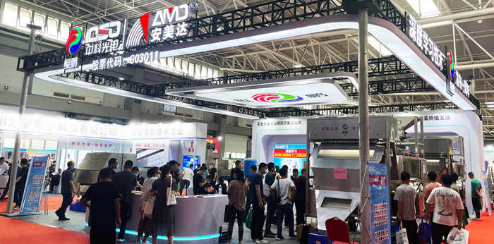 AMD 